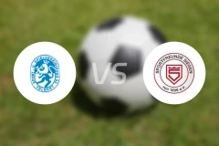 威尔伯特vs希根比分预测【2025/11/29】