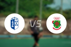 维泽拉vs费雷拉比分预测【2026/01/16】