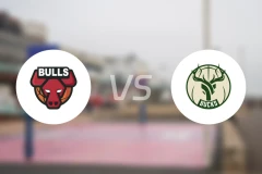 公牛vs雄鹿录像回放【2025/11/08】