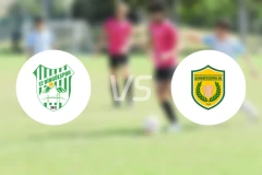 宾高尔vs奥曼尼纽比分预测【2025/12/17】