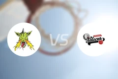 阿特兰飞龙vs纽伦堡比分预测【2026/01/25】