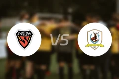 浦项铁人vs淡滨尼流浪者比分预测【2025/11/06】