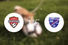 科扎拉vs法莫斯沃伊比分预测【2026/04/25】