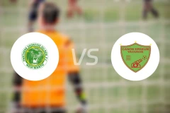 彭特靴尔vs雅温得加农炮比分预测【2026/03/01】