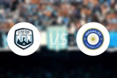 勒皮vs凡尔赛比分预测【2026/04/25】