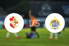 纳沙尔狮队vs希伯尼安斯比分预测【2026/03/14】