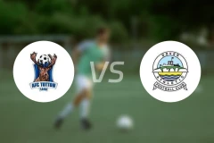 托顿vs多佛比分预测【2026/01/24】