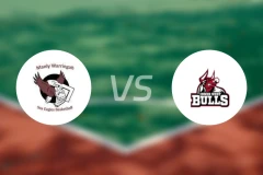 曼利海鹰女篮vs内西公牛女篮比分预测【2026/04/18】