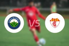 尼路费vs艾迪瑞利士邦比分预测【2024/10/20】