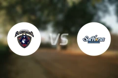 横滨海盗vs三河海马比分预测【2026/03/14】