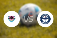 鸟栖砂岩vs鹿儿岛联比分结果战报【2026/02/28】