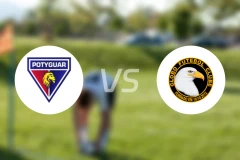 波提瓜尔塞里多恩斯vs格罗波比分预测【2026/01/19】