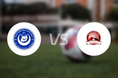 法希尔vs海杜布比分预测【2026/02/12】