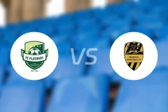 铂金vs玛尼卡钻石比分预测【2026/03/14】