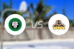 安美鲁vs辛卓老虎比分预测【2026/01/12】