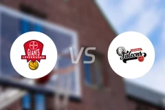 拜尔勒沃库森巨人vs纽伦堡比分预测【2025/12/24】