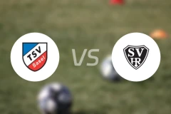 TSV沙塞尔vs瑞林根比分预测【2024/09/04】