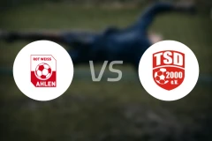 艾伦vs土耳其人多特蒙德比分预测【2026/04/12】