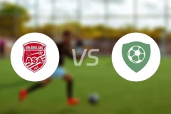 阿加里卜vs保塞勒蒙比分预测【2025/11/30】