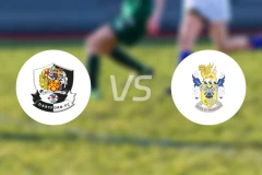 达特福德队vs艾维利比分预测【2026/01/17】