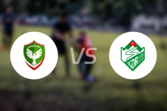 阿美德vs厄德尔比分预测【2025/12/29】