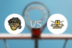 塔奇拉弗朗蒂诺斯vs猎鹰英雄比分预测【2026/03/24】