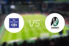 BW林茨vs里德比分预测【2026/03/22】