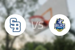 国际布拉蒂斯拉瓦vs科希策狼队比分预测【2026/03/19】