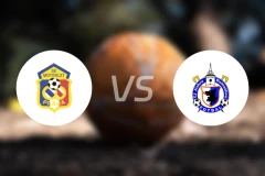 莫托勒vs多马日利采比分预测【2026/04/25】