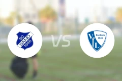 SC桑德女足vs波鸿女足比分预测【2026/02/08】