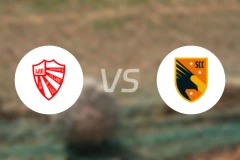 圣路易斯vs圣卡塔琳娜比分预测【2026/04/19】