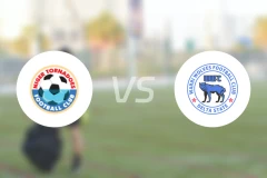 尼日尔FCvs瓦里狼比分预测【2026/03/01】