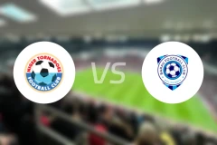 尼日尔FCvs巴拉乌比分预测【2025/12/28】