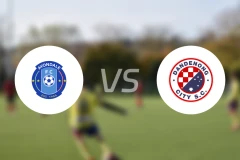 埃文代尔vs丹德农市比分预测【2026/03/14】