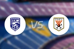 武汉三镇vs山东泰山比分预测【2025/11/22】