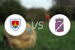 努曼西亚B队vs比斯若比分预测【2025/11/15】