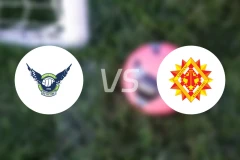 鸟取飞翔vs北九州向日葵比分预测【2025/11/16】