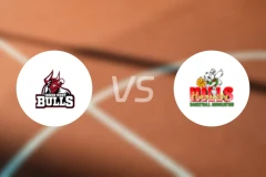 内西公牛vs山丘黄蜂比分预测【2026/03/28】