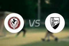 阿雷佐vs皮阿尼斯比分预测【2026/02/09】