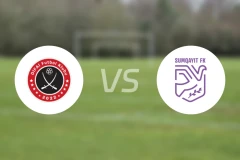 迪法伊阿格苏vs萨姆加耶特比分预测【2025/12/04】