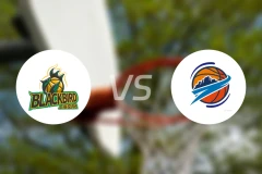 上海玄鸟vs焦作文旅录像回放【2025/12/30】