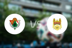 卡塞雷尼奥vs庞特贝德拉比分预测【2026/02/14】