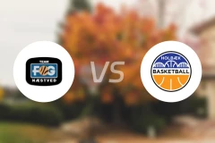 内斯提夫vs霍尔贝克比分预测【2026/02/20】