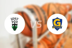 托尔vs格林达维克比分预测【2025/12/19】