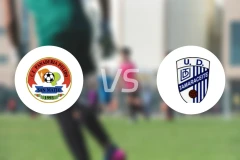 潘迪普利多vs塔玛拉赛特比分预测【2025/11/22】