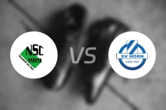 纽锡德尔vsSV霍恩比分预测【2026/03/14】