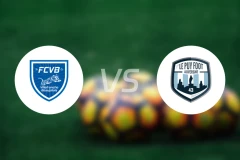 维利法兰vs勒皮比分预测【2026/03/21】