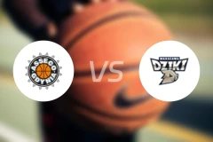 阿尔卡格丁尼亚vs华斯基比分预测【2025/11/04】