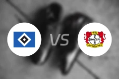 汉堡女足vs勒沃库森女足比分预测【2025/11/16】