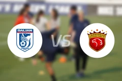 大连英博vs上海海港录像回放【2025/11/22】